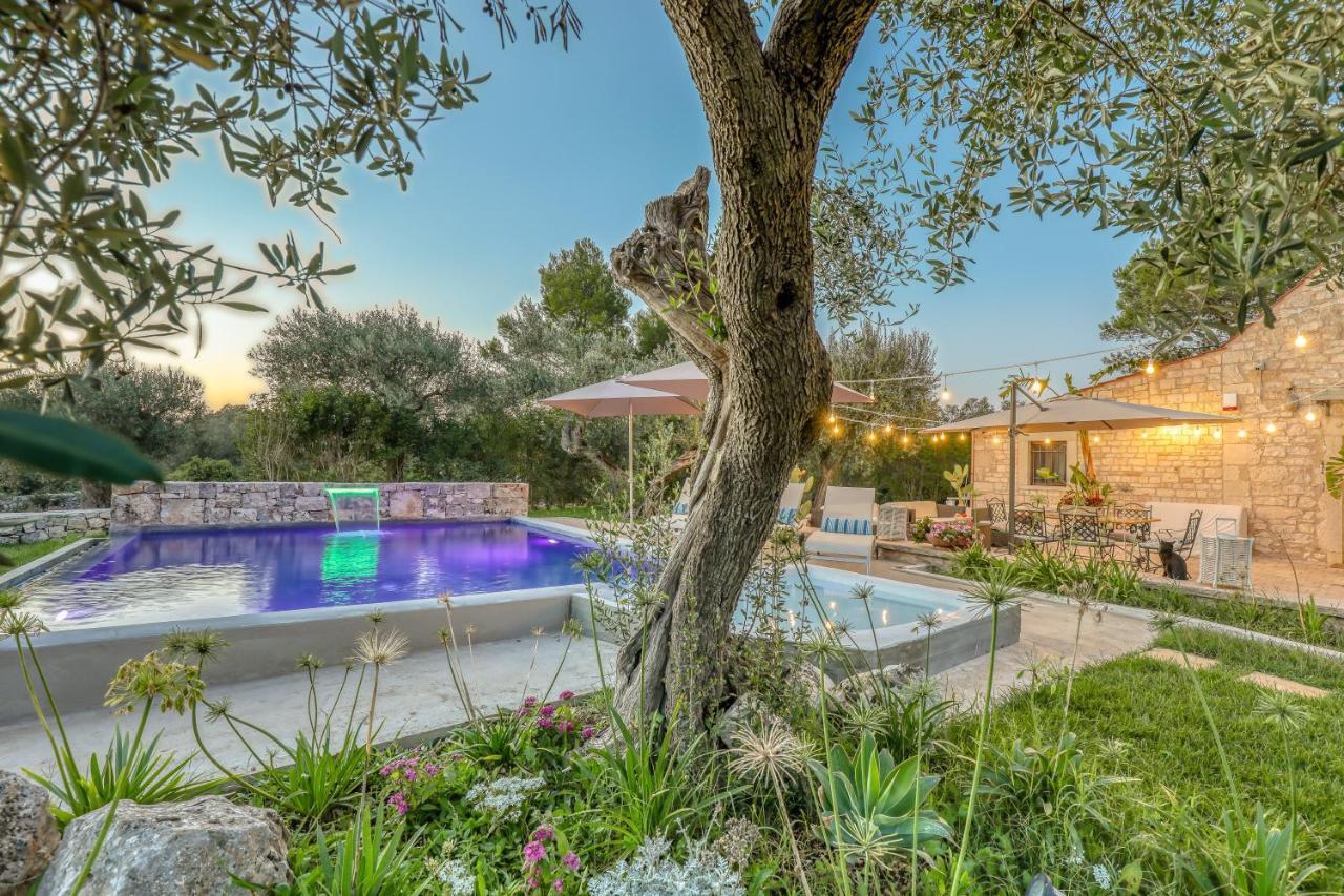Bed and Breakfast Trulli Terra Magica à Putignano Extérieur photo